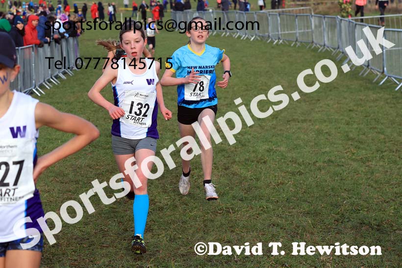 Girls Under-13s 2024 Northern Cross Country Champs., Sedgefield. Photo: David T. Hewitson/Sports for All Pics